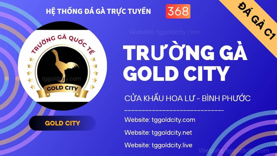 Trường Gà C1 Gold City Trực Tiếp Gà Chọi C1 - Trường Gà Gold City CamPuChia Trực Tiếp Gà Chọi C1 Đá Gà C1 truong-ga-c1-gold-city